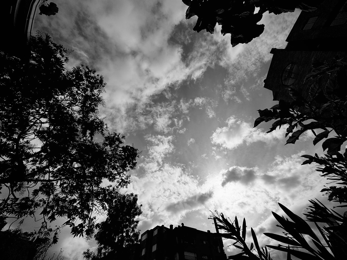 Tarde de #Sabado31ene