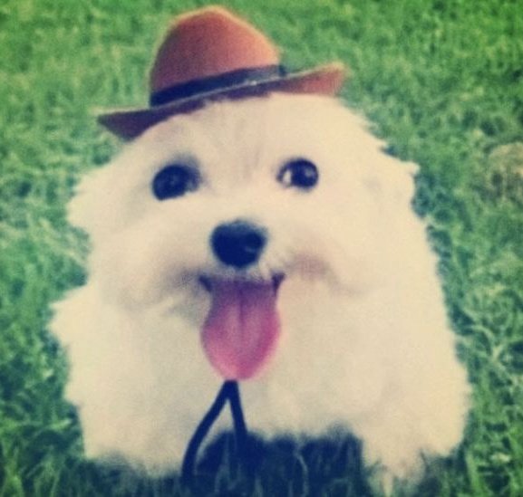 cuando me estás hablando pero estoy 24/7 disociada y no se q mierda me acabas de decir asiq toca mirarte así y fingir q te he escuchado