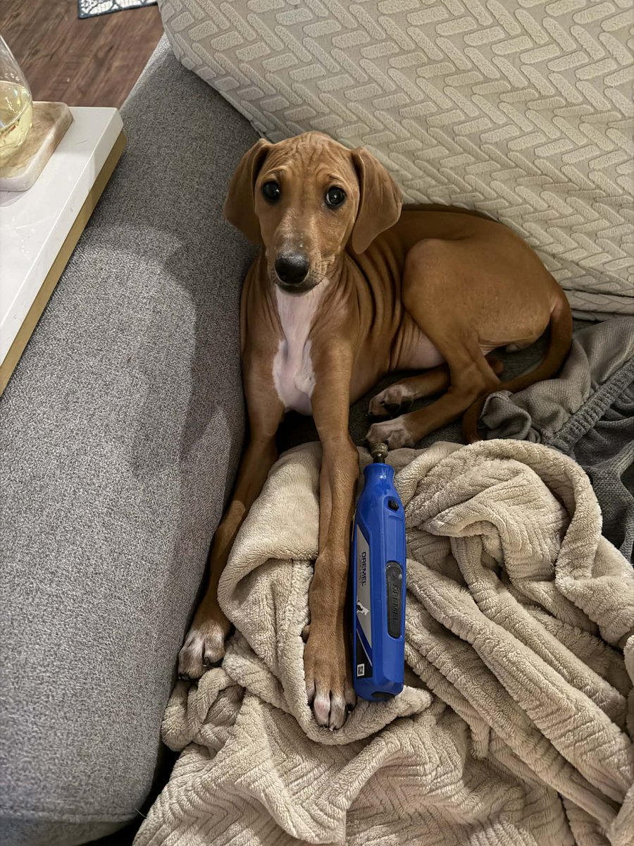 I hope to get back to feeling like a person, and my passions and hobbies (like writing) soon.

she should help. 💙