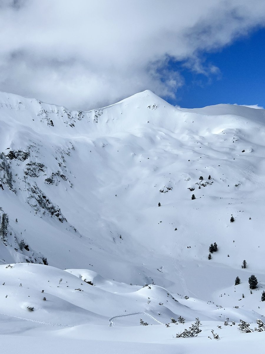 bitealightning's tweet image. най-нарая един хубав ден 🩵