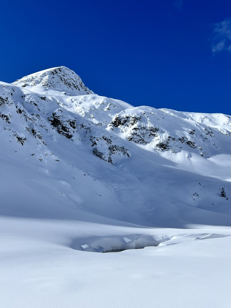 bitealightning's tweet image. най-нарая един хубав ден 🩵