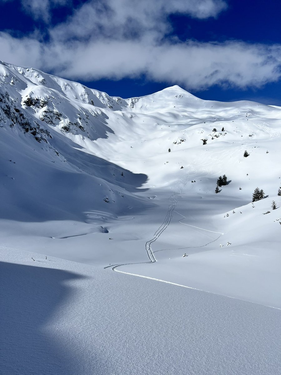 bitealightning's tweet image. най-нарая един хубав ден 🩵