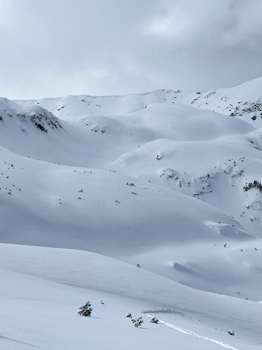 bitealightning's tweet image. най-нарая един хубав ден 🩵