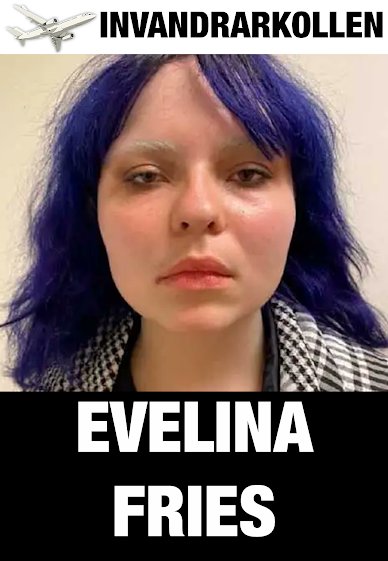 INVANDRARKOLLEN✈️ tweet media