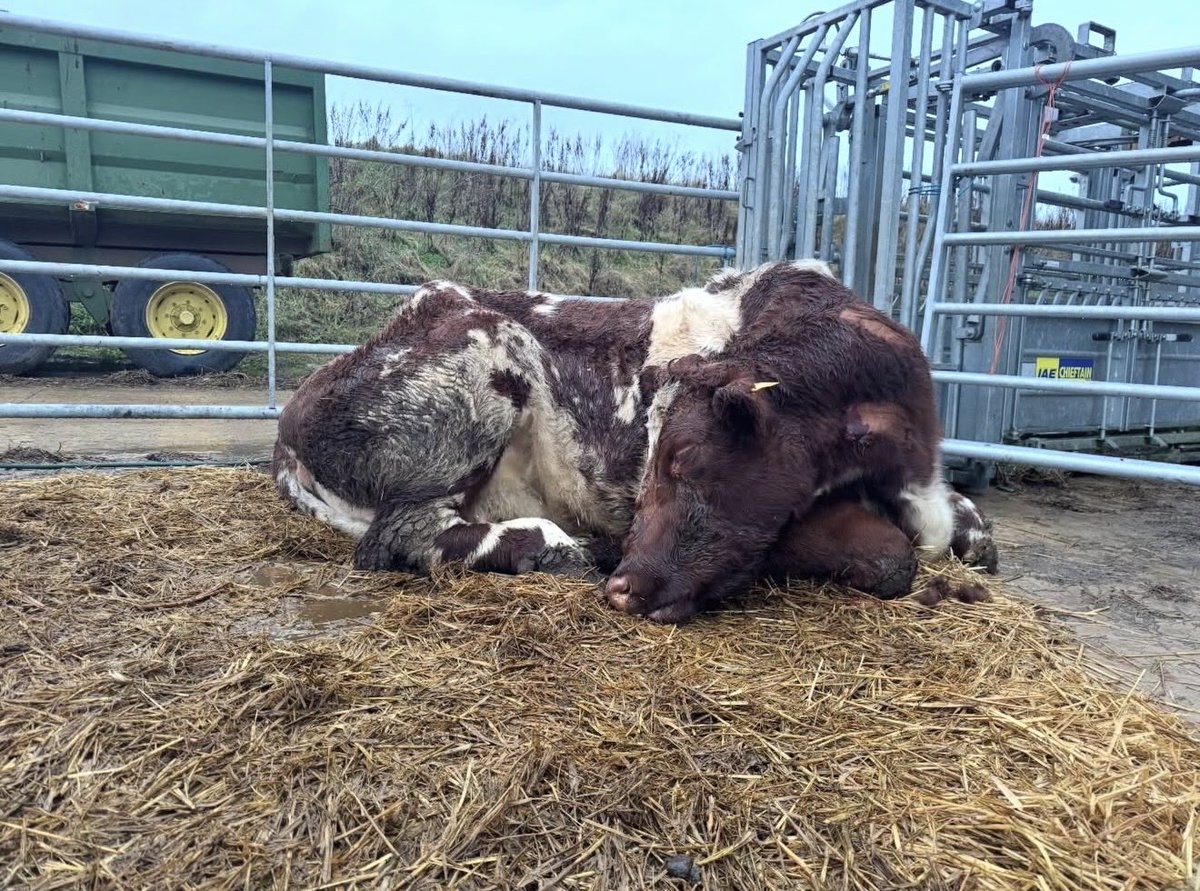 ClarksonsFarm tweet media