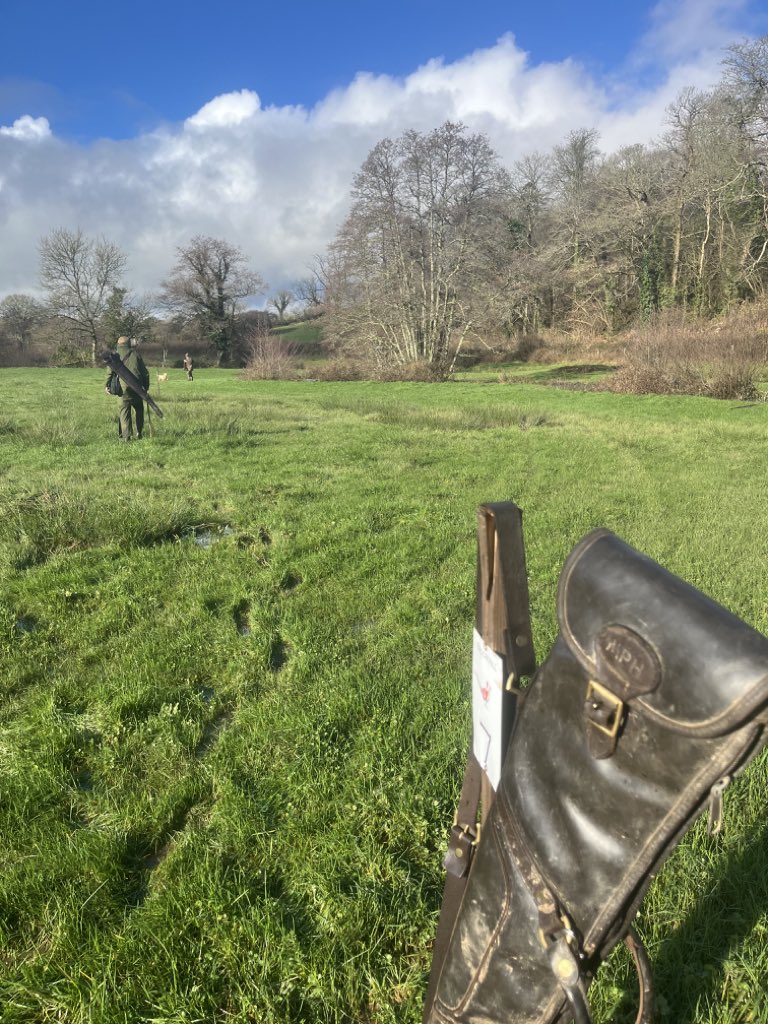 Longwool tweet media