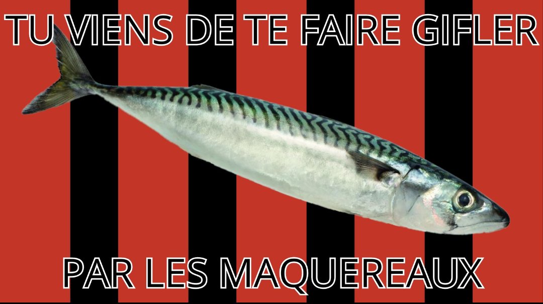 ZeFrenchCap 🇵🇱 tweet media