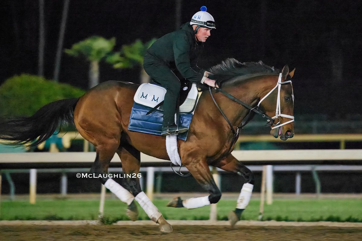 J McLaughlin Safford tweet media