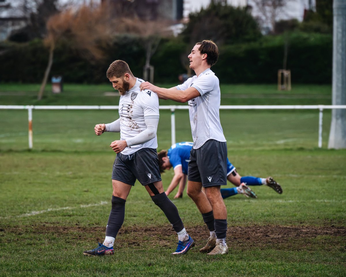 amymarshallcreative tweet media