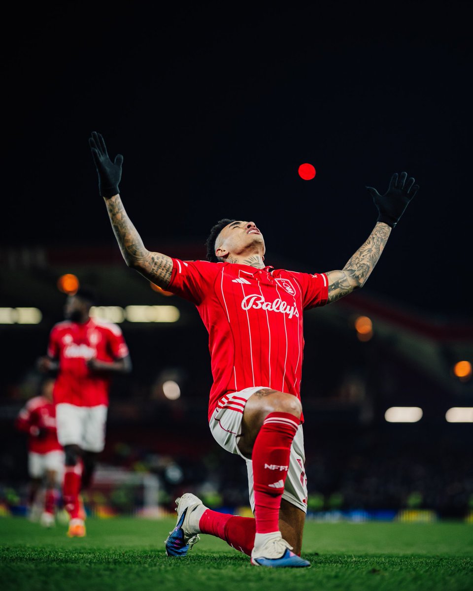 Talking Forest tweet media