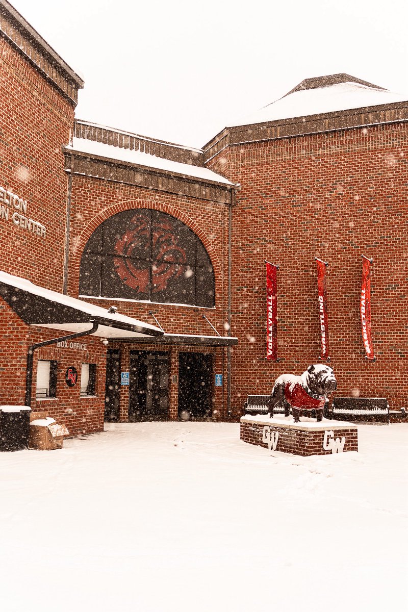 Gardner-Webb Women’s Basketball tweet media