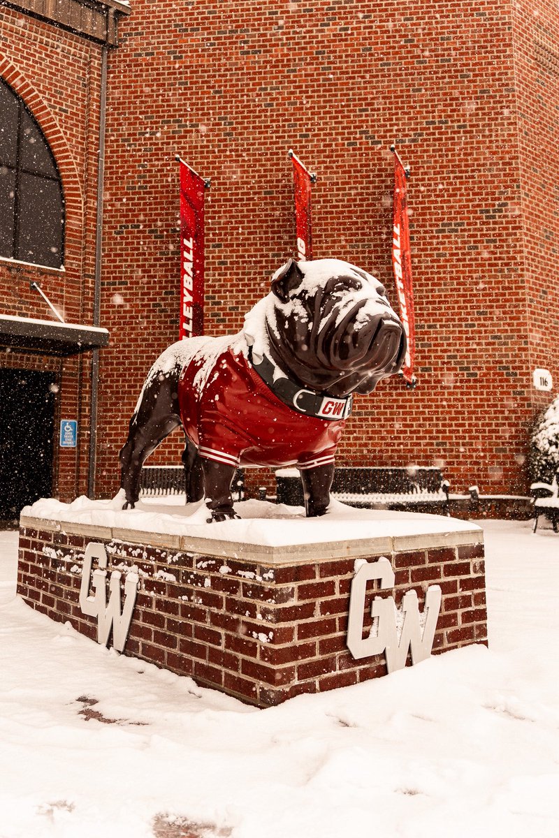Gardner-Webb Women’s Basketball tweet media