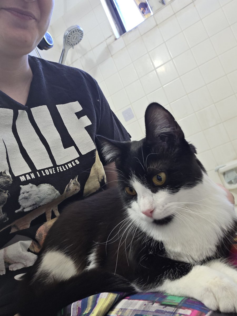 Miss Emily Rose tweet media