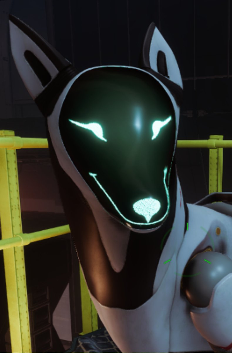 Artemis, the real-life dog who inspired Destiny 2’s Tower companion Archie, has died

His owner has asked players to honor him in-game by petting Archie in the Tower or by using the Loyal Companion emote