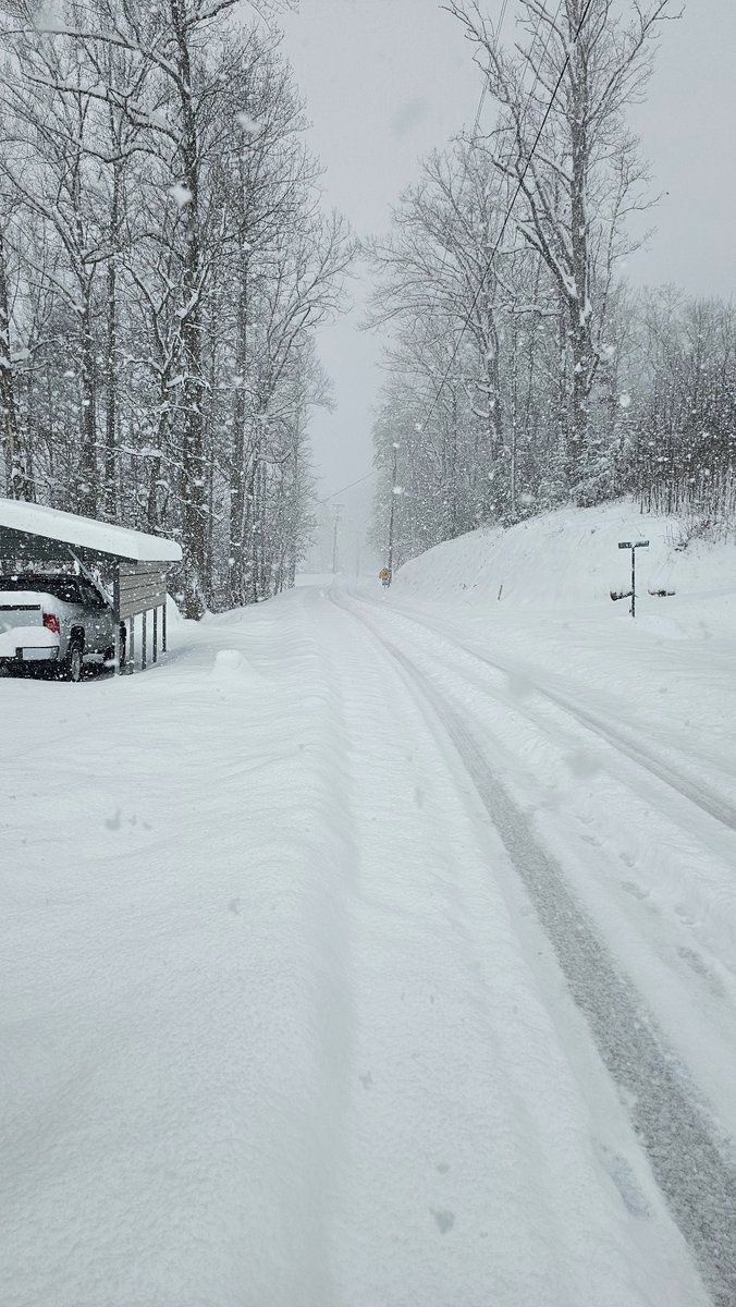 Pleas Proffitt tweet media