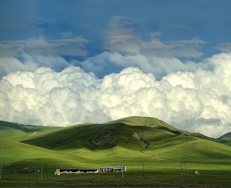 greenvibe's tweet image. 