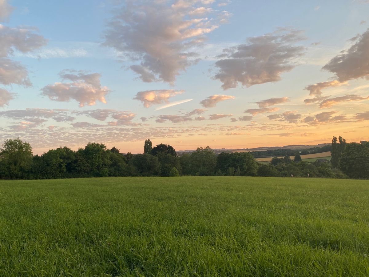 greenvibe's tweet image. 