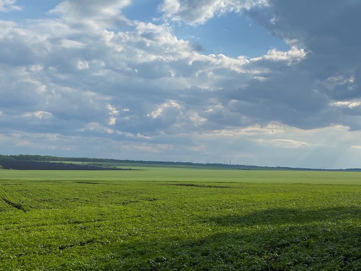 greenvibe's tweet image. 