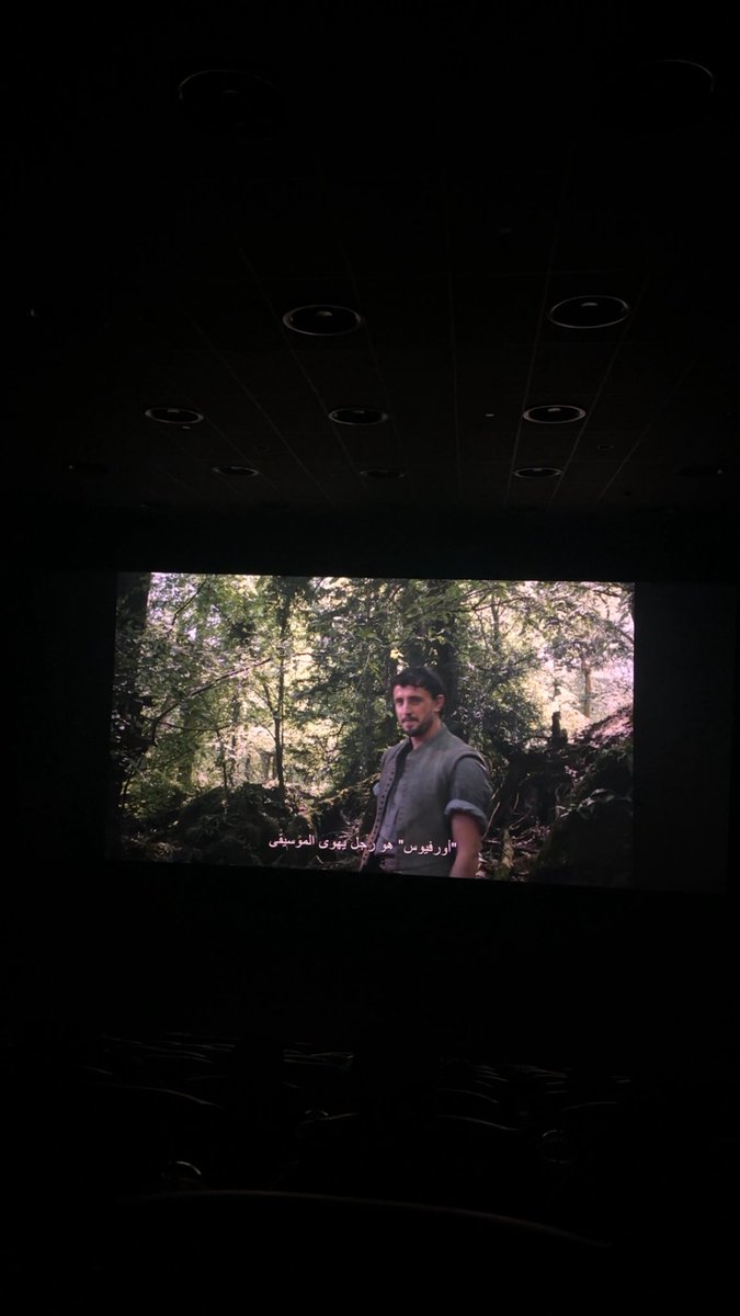 Hamnet  10/10 
فلم يحرك مشاعرك غصب