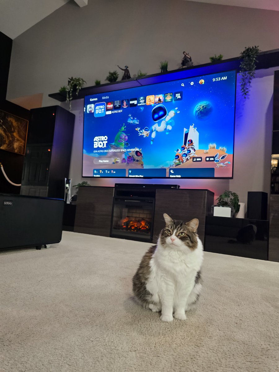 Cam 🎮 (@CamXPetra) tweet media