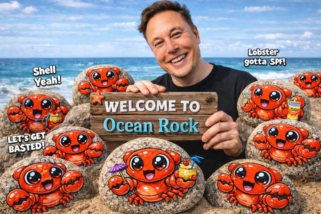Ocean Rock tweet media