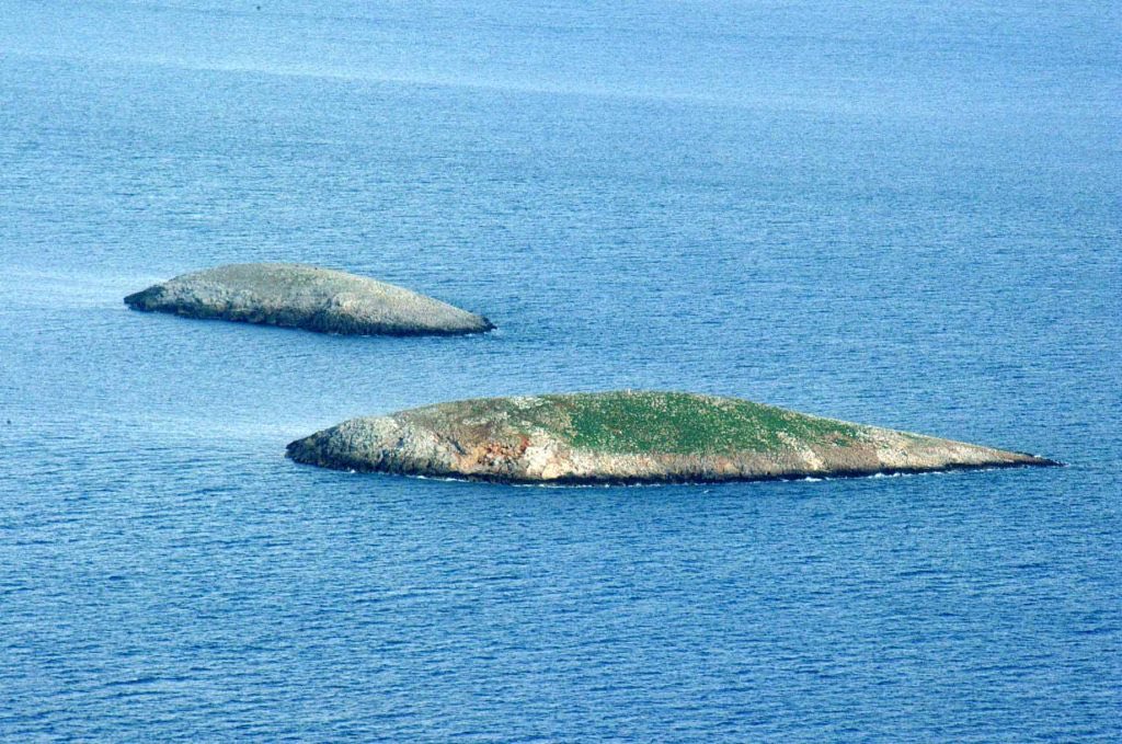 SarikasKostas's tweet photo. Γεμίσαμε ελληνικές σημαίες σήμερα στα Ίμια.
Ζήτημα είναι αν οι μισοί πολιτευτές και όχι μόνο που τις ανέβασαν έχουν υπηρετήσει. Ούτε λόγος για Έβρο και νησιά εννοείται.
Μέχρι και τα «γιώτα 5» έγραψαν πύρινα άρθρα για τα λάθη που έγιναν.
Και μετά θα  παρακαλάνε να πάρει τη σημαία ο αέρας…