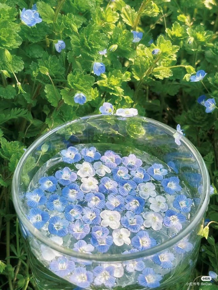 greenvibe's tweet image. 