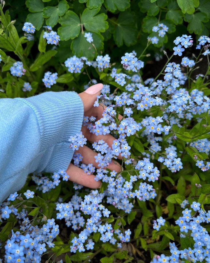 greenvibe's tweet image. 