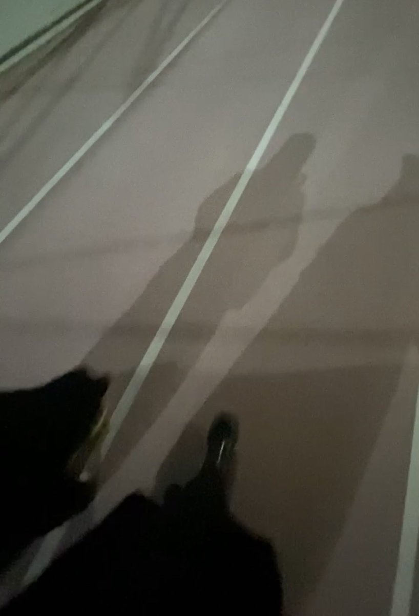 ModhiSubaie's tweet photo. بدون مقدمات : دخلنا اجتماع ساعتين مشترك 
طلعنا نتمشى بدون تحديد الوجهه مشينا الرياض كلها برجولنا  
- اما النتيجة ،  خذنا اليوم كله سواليف كمية الرآحة العجيبه معها ! ✨ https://t.co/uKacMqutgY