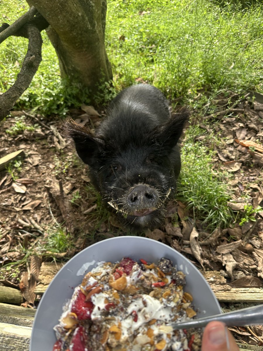 UM from New Zealand ☕️ 
(Useless Morning)

Still here.
Still bullish.
Still $USELESS.