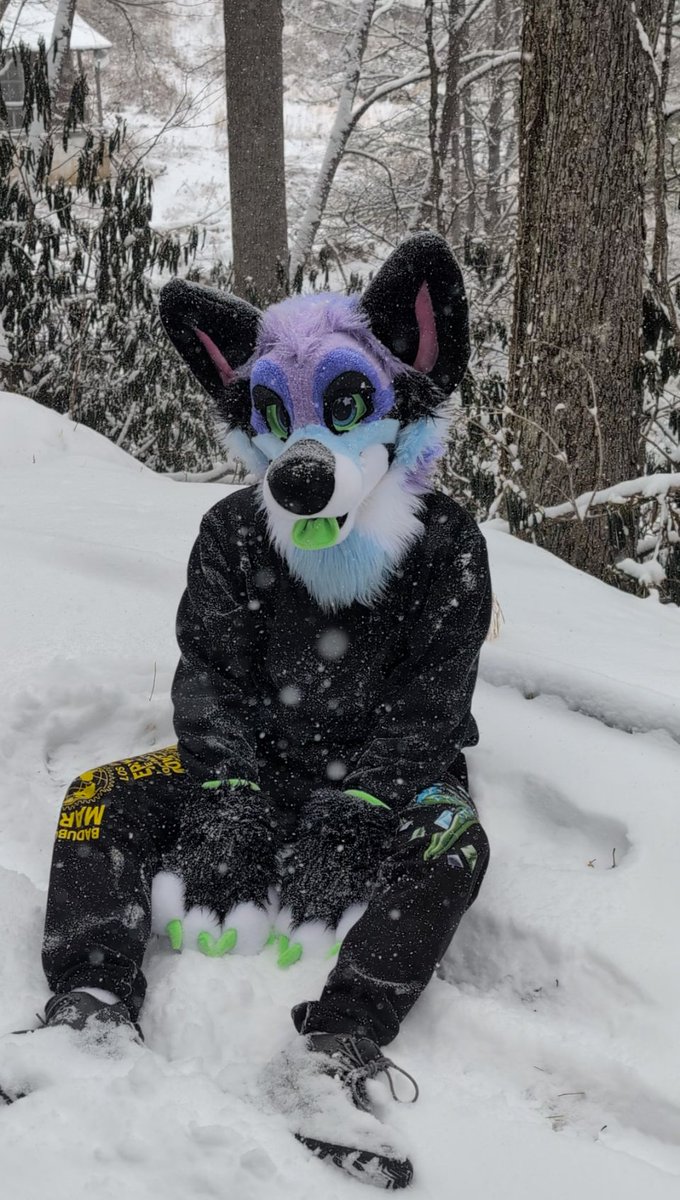 AxlDoggy's tweet photo. Snow day c: https://t.co/k1fIPQf6DT