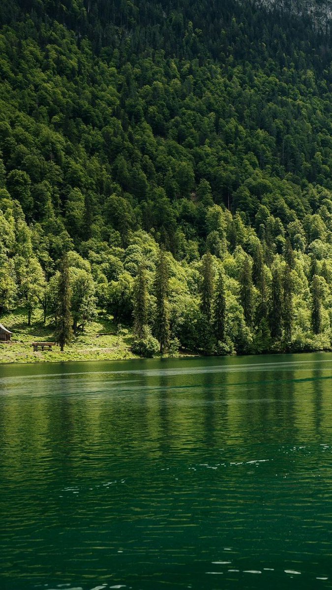 ᅠ ᅠ (@greendreaams) on Twitter photo 