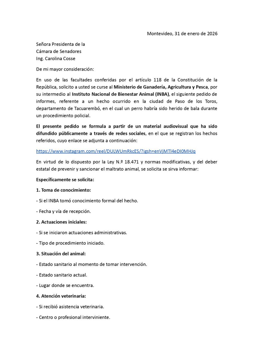 AndresOjedaOk's tweet photo. 🚨 Presentaremos dos pedidos de informes por este hecho ocurrido en Paso de los Toros.

Pedimos explicaciones al Ministerio del Interior y al INBA para conocer:

✔️ Explicación detallada de los hechos
✔️ Si se abrió investigación o sumario administrativo
✔️ Cuales son los protocolos y normas que aplican y si fueron respetados
✔️ Si el animal recibió atención veterinaria
✔️ Qué medidas se tomarán para evitar que esto vuelva a ocurrir

Nos genera indignación y tristeza, el Estado debe dar el ejemplo y actuar con responsabilidad.