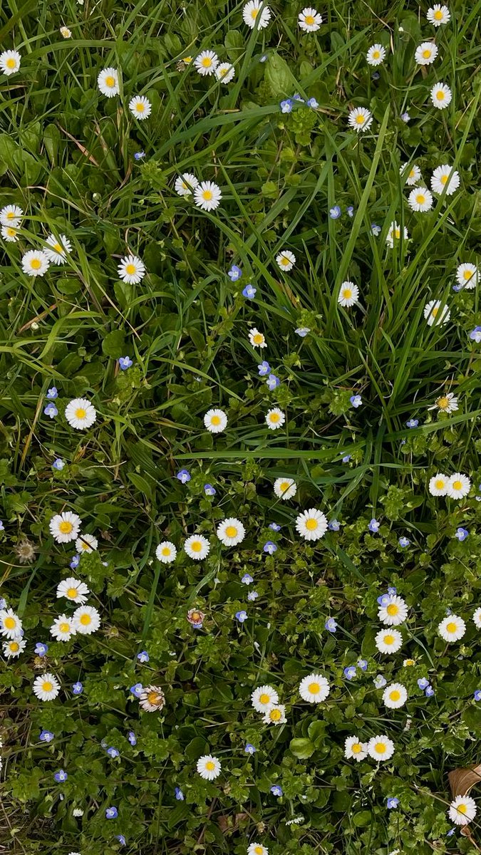 greenvibe's tweet image. 