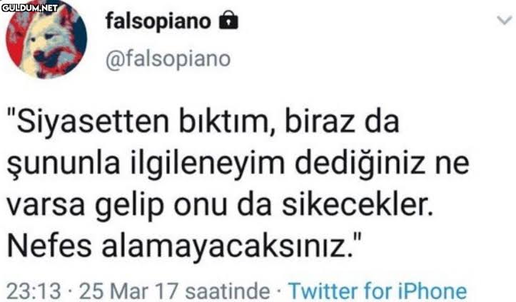 Cesur tweet media