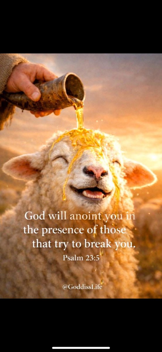 ✨💫Cali💫✨ tweet media