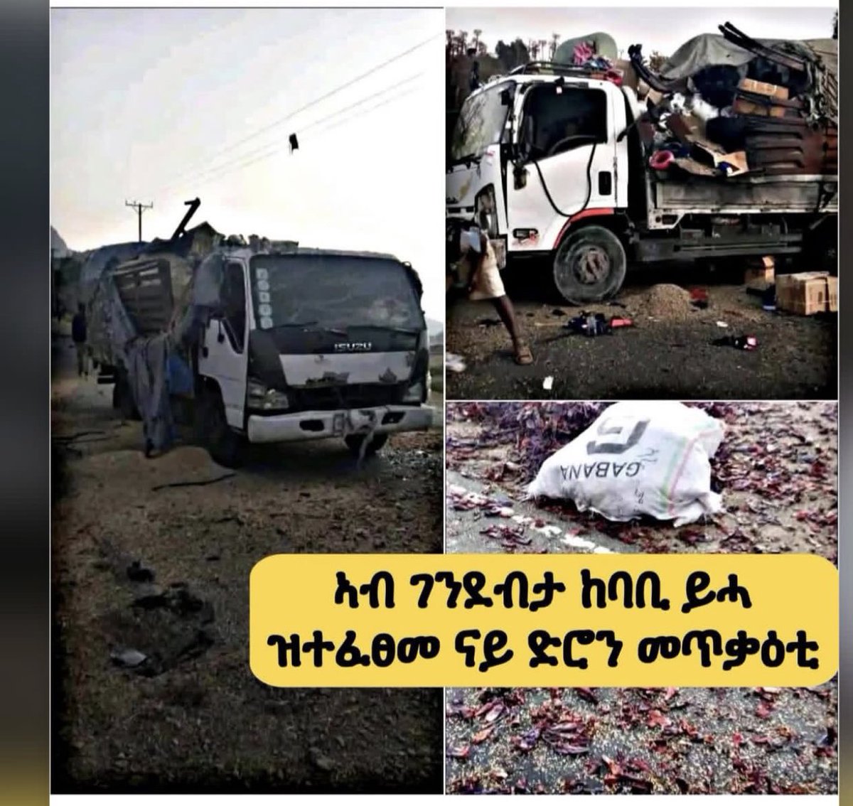 Dan Tigray 💊 tweet media