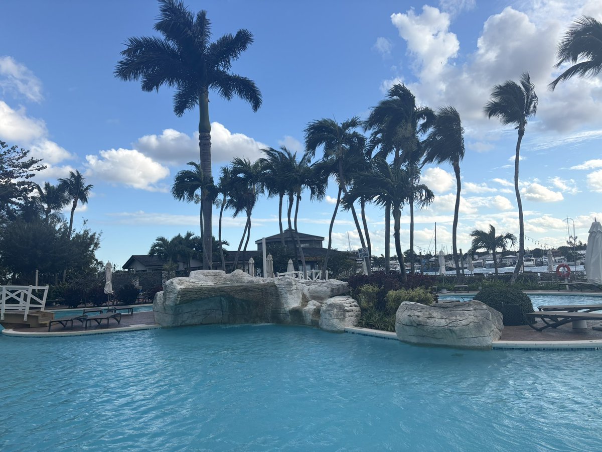 Ⓢⓣⓔⓟⓗ-ⓐⓝⓘⓔ tweet media