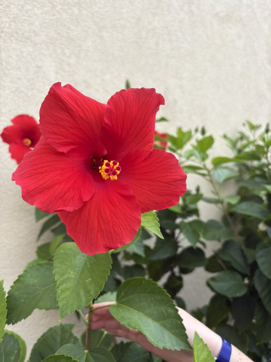 Ⓢⓣⓔⓟⓗ-ⓐⓝⓘⓔ tweet media