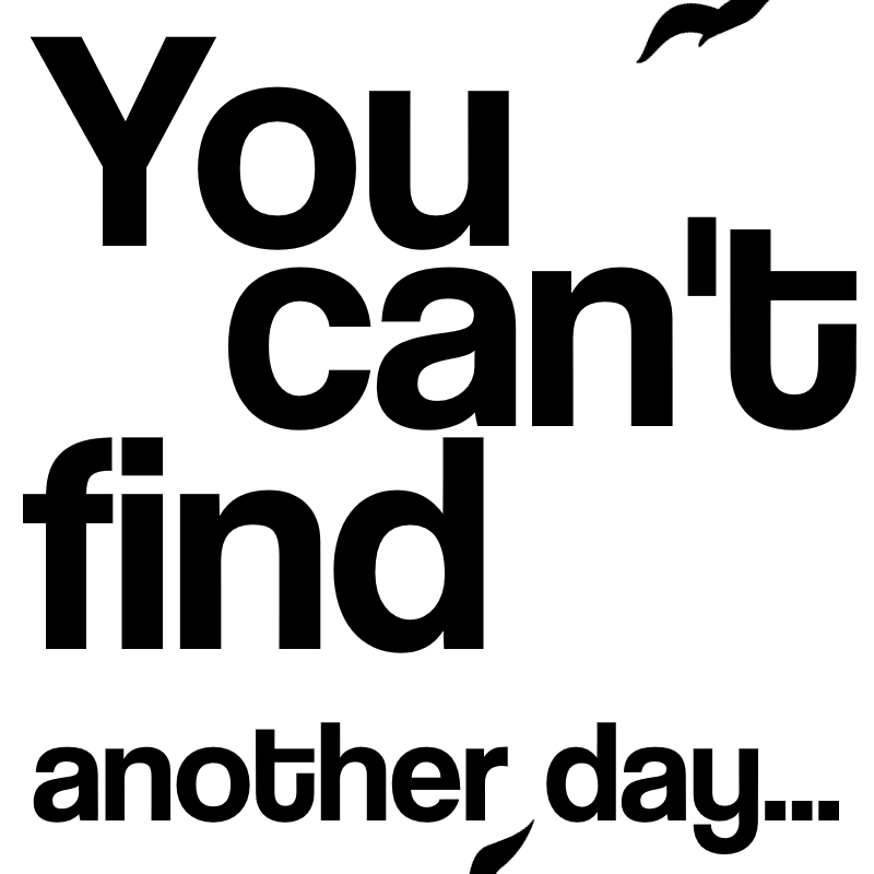 Feeder | Pushing The Senses

 youtube.com/watch?v=9bMDQB…