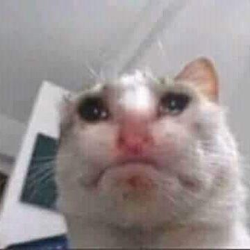 G🗡️ tweet media