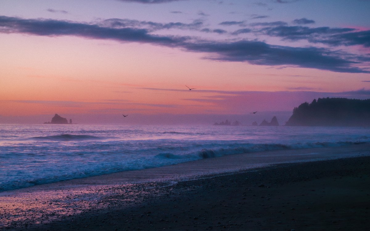 Where the Mind Goes to Breathe