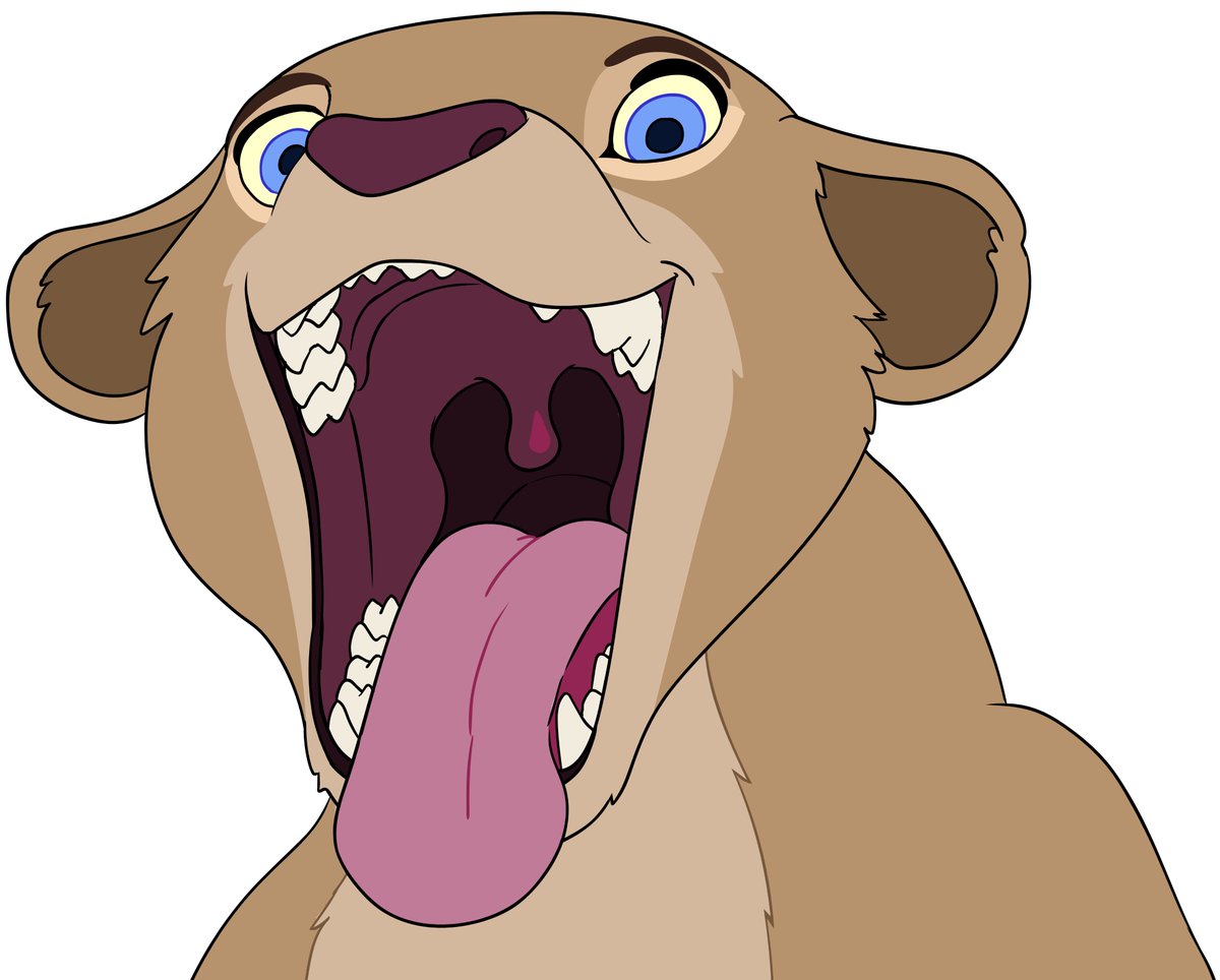 Feedfancier 😽 tweet media