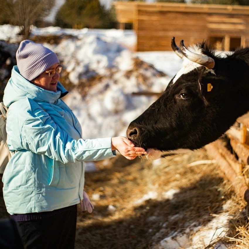 mxmheh's tweet image. Хочется на эко-ферму и поконтактировать с животными)