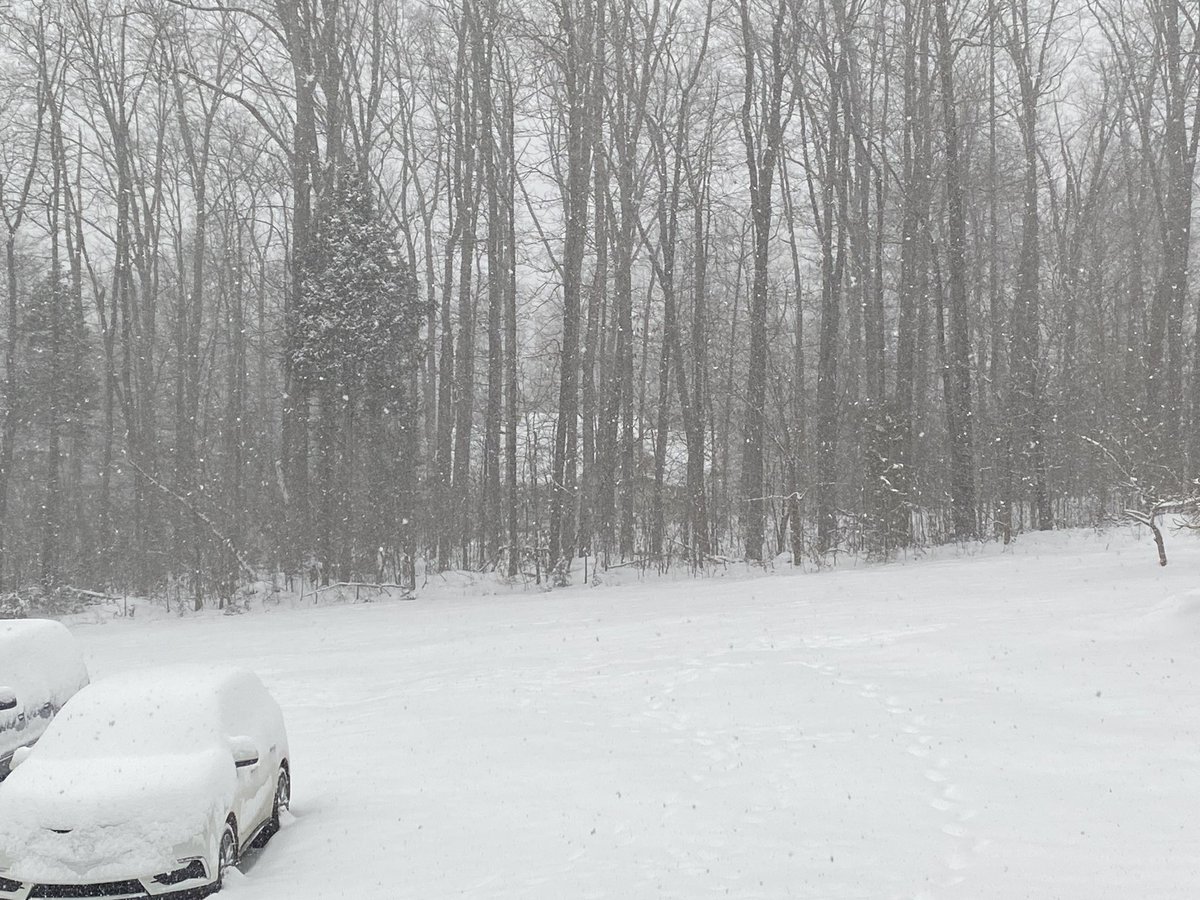 DeerTrainServ's tweet photo. Due to the current conditions it is not safe to run our trains and for the remainder of the day and into the next few mornings we will not be running our trains until all snow clears. An update will be posted when conditions are clear! Have fun! https://t.co/sRrgVstqnK