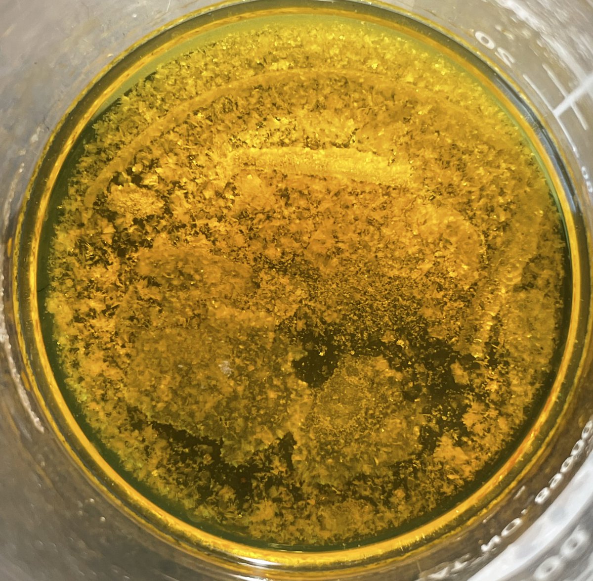 HansonFSU tweet media