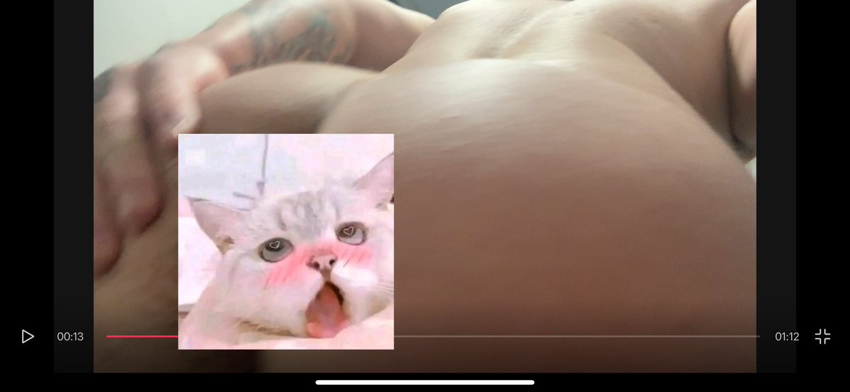 狐狸方崽 tweet media