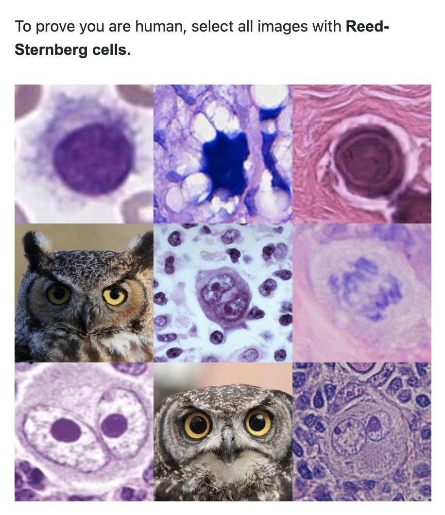 Toby Schmitt, MD tweet media