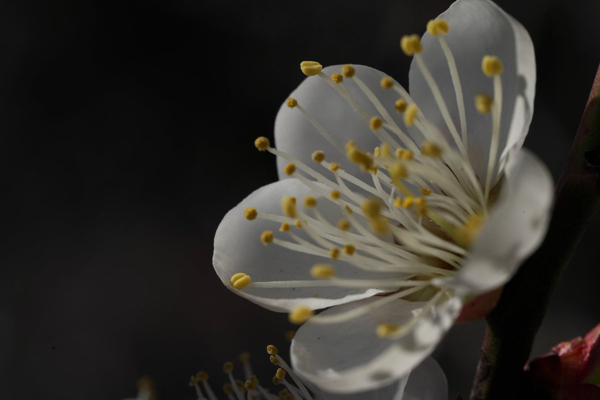 PaPaPhoto (@papa881photo) / Posts / X