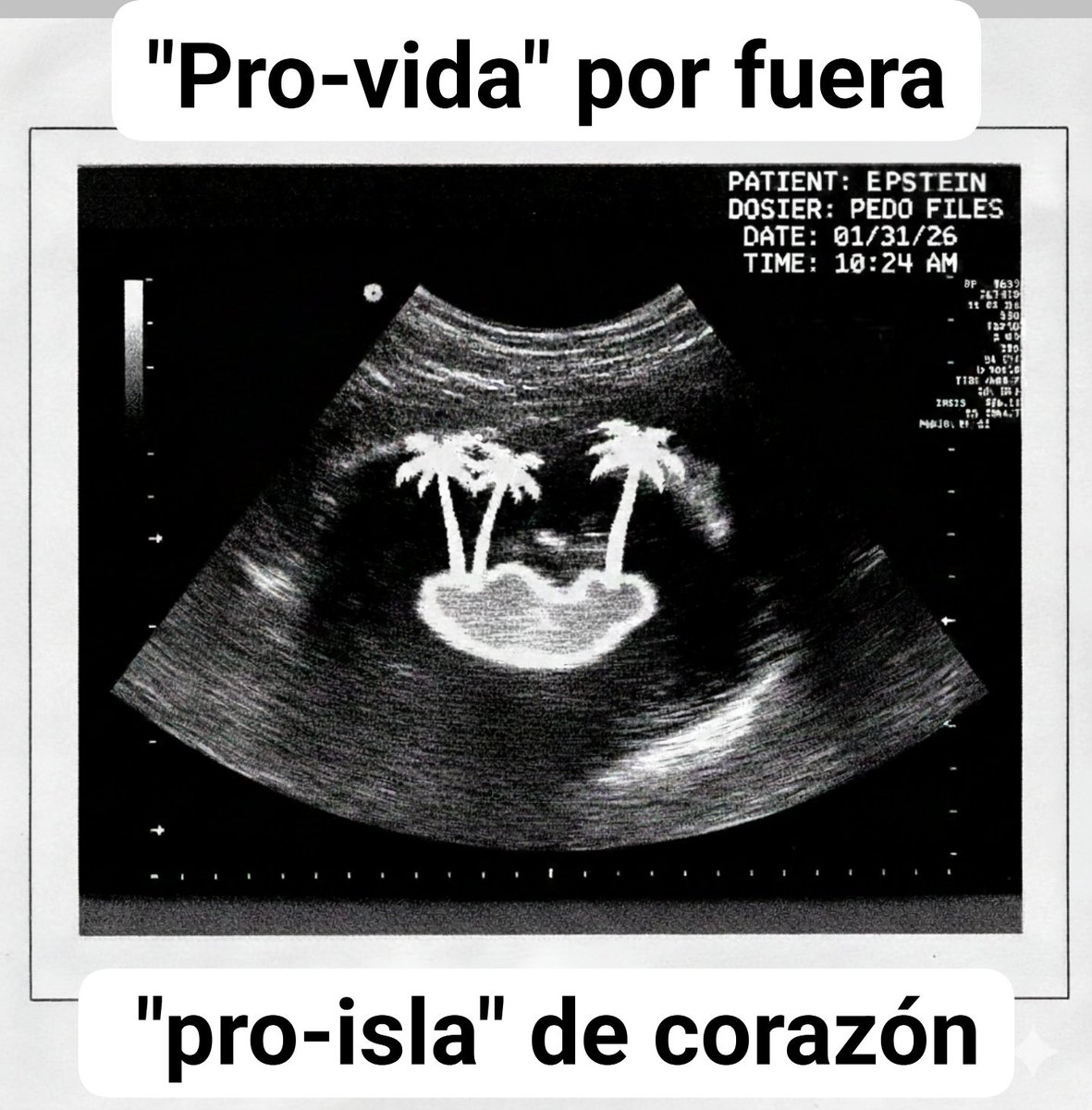 Elales Archundia tweet media